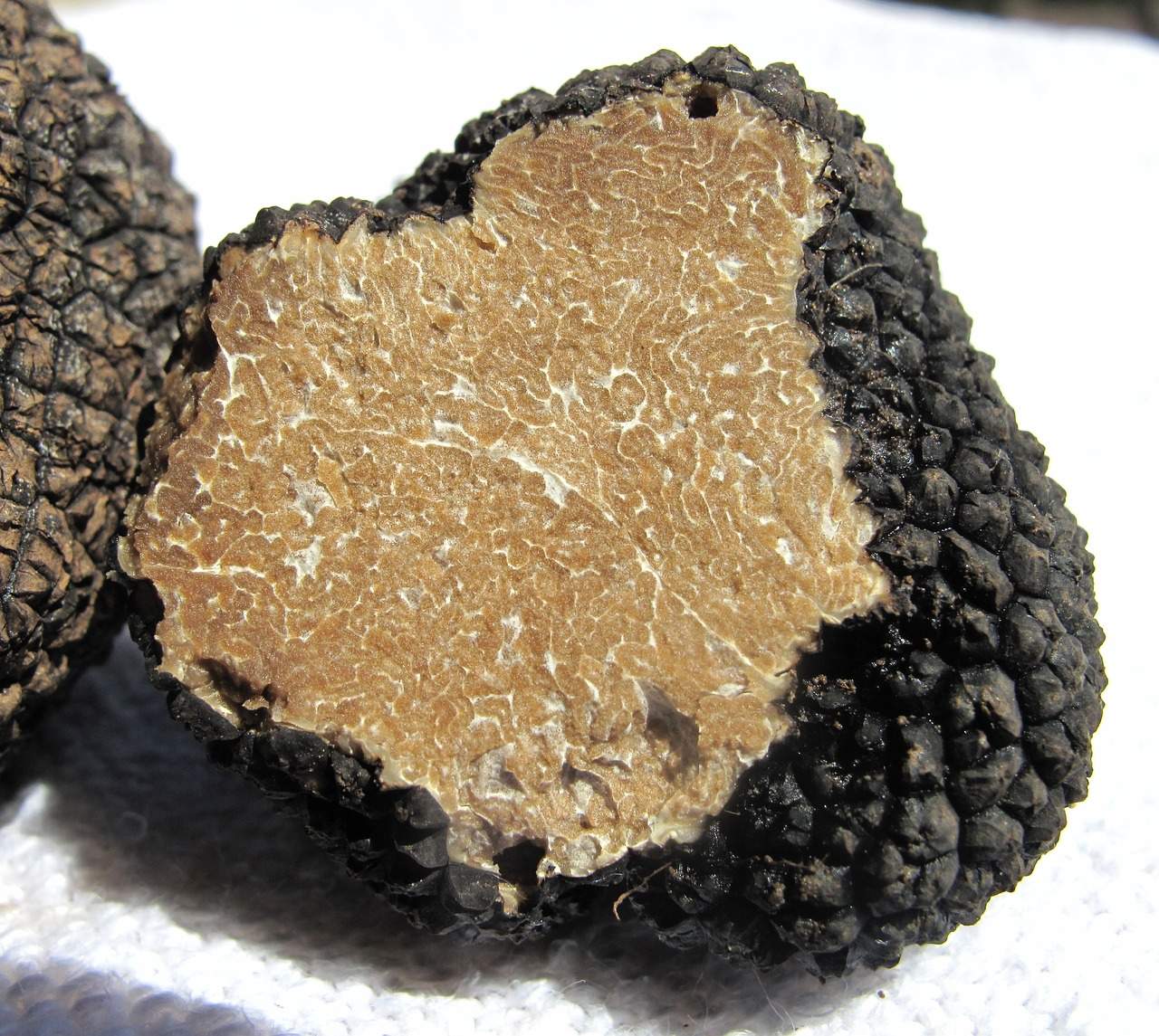truffle-203031_1280