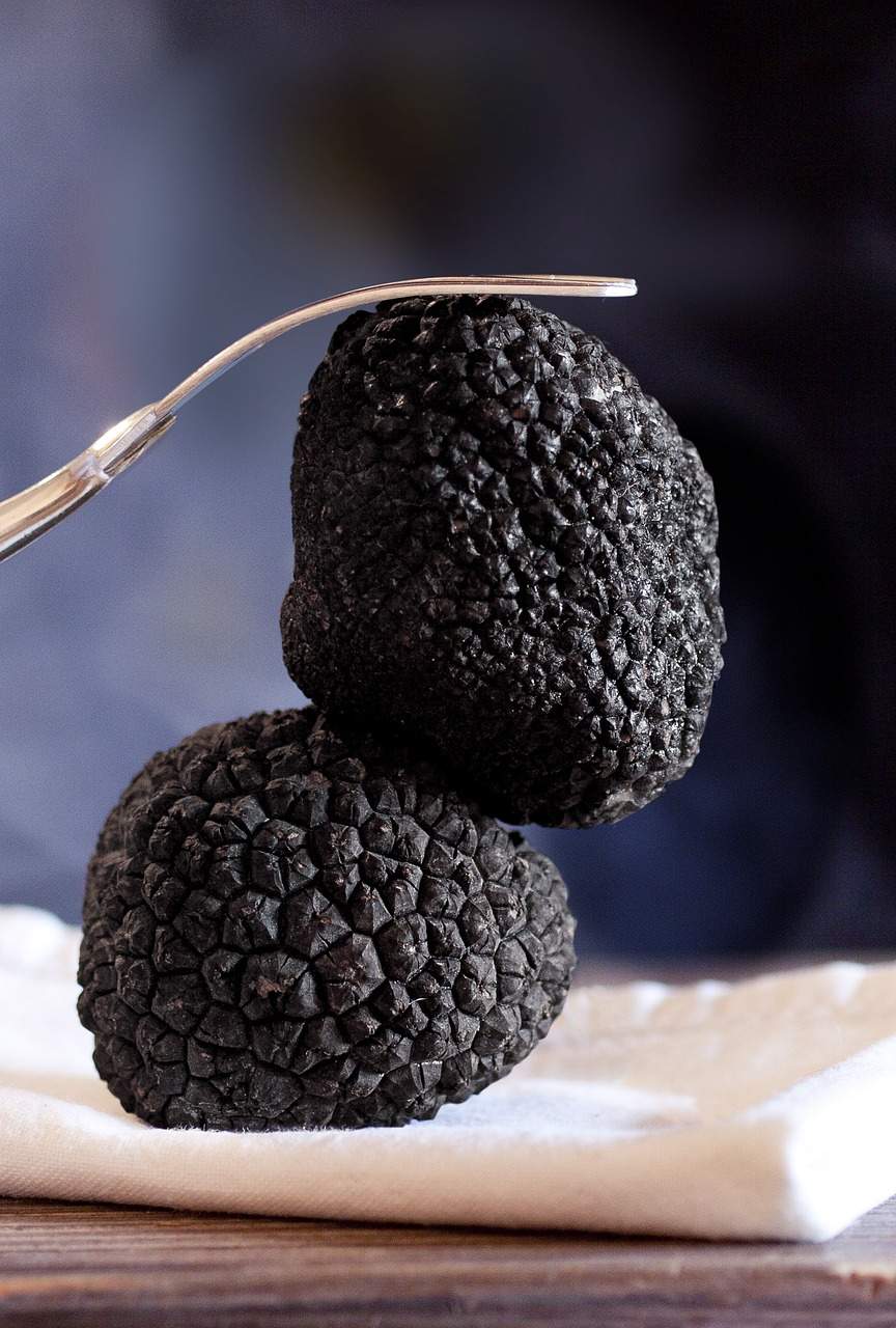 truffle-2341781_1280